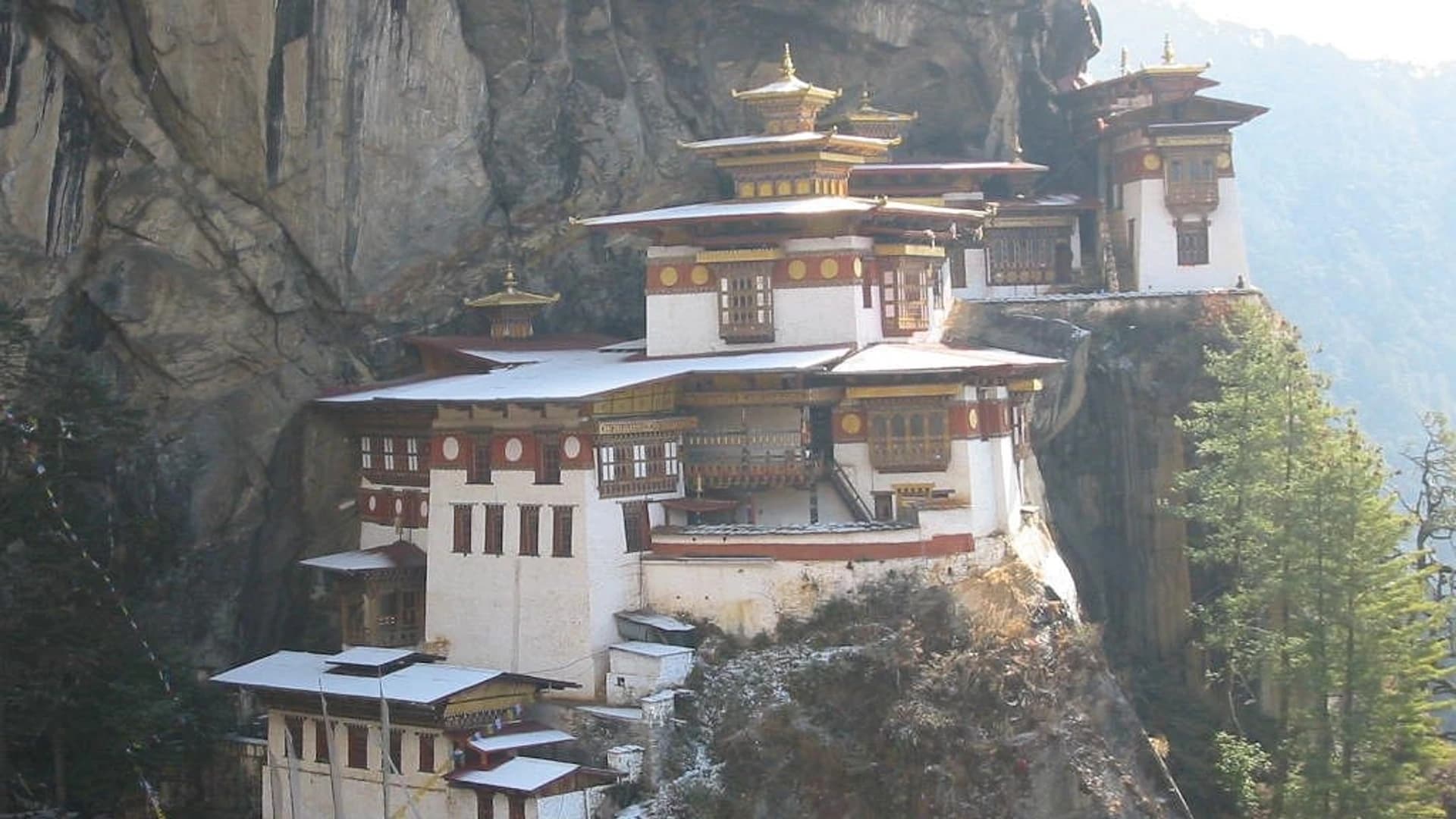 Organizational Events