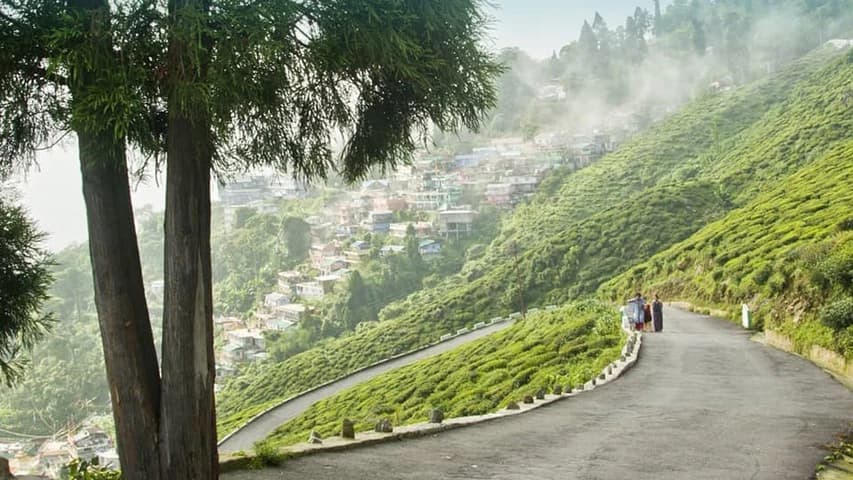 50th Anniversary Celebrations